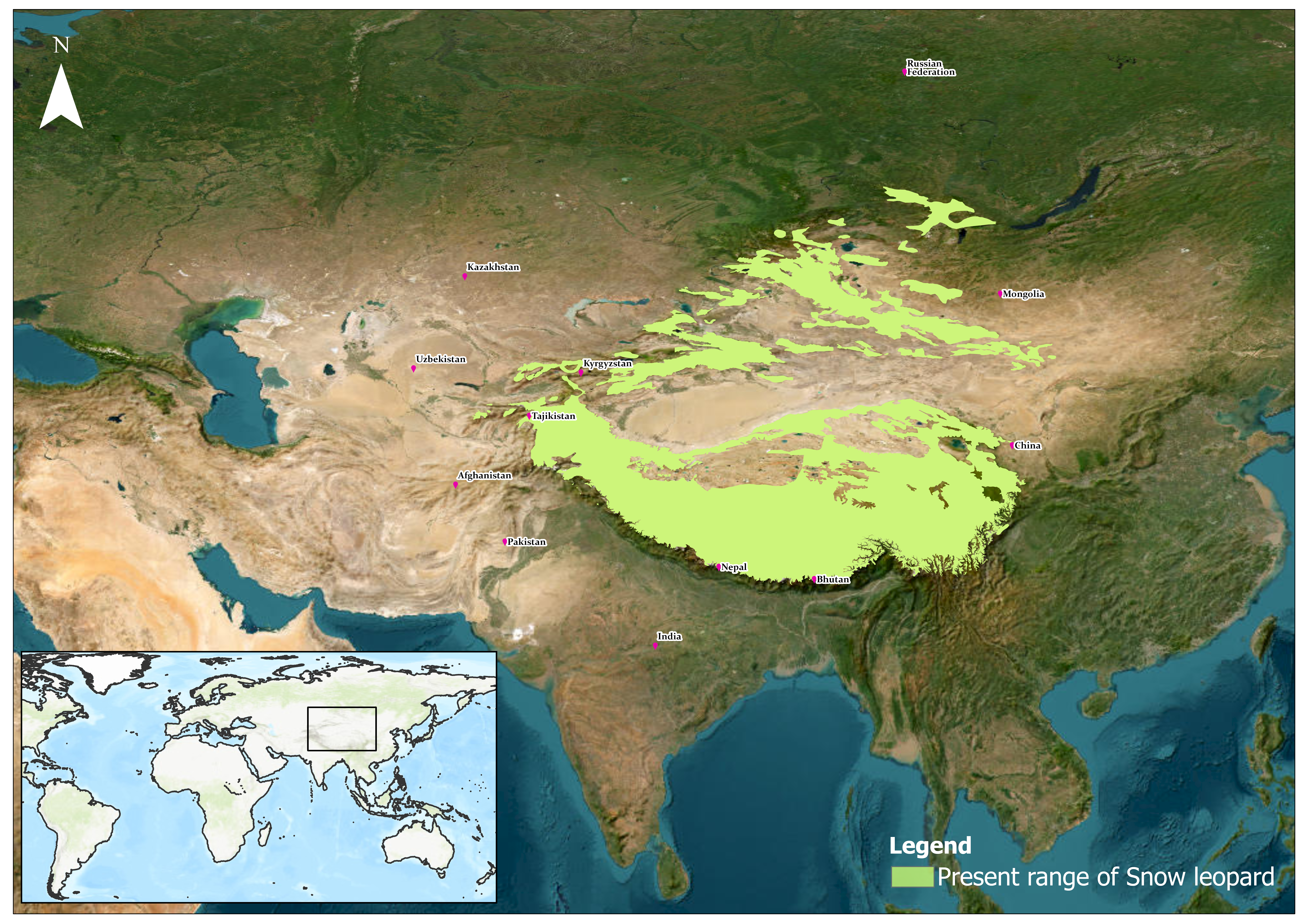 Present Distribution of Pumas